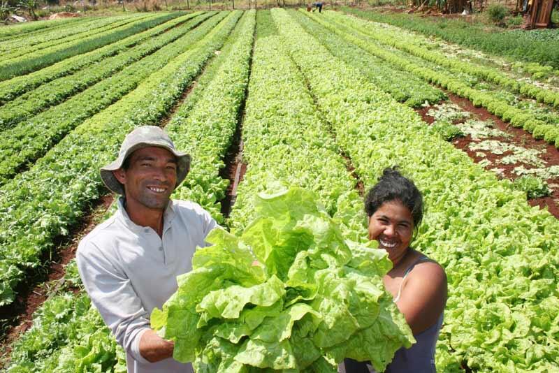 Midagri espera aportes de ciudadanos para que pronto entidades estatales compren como mínimo 30% anual de alimentos a Agricultura Familiar