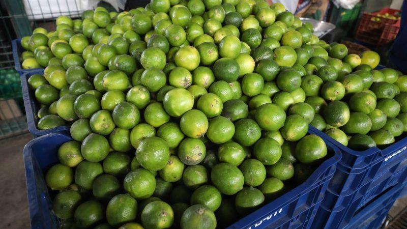Midagri: precios del limón responden a factores estacionales que son temporales
