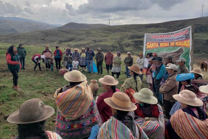 Minagri beneficia a 3.217 ganaderos con 1.930 hectáreas de pastos cultivados en Junín