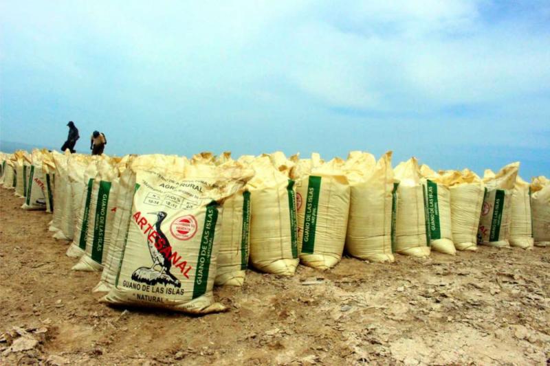 Minagri distribuye 920 toneladas de guano de islas para impulsar cultivo de café y cacao