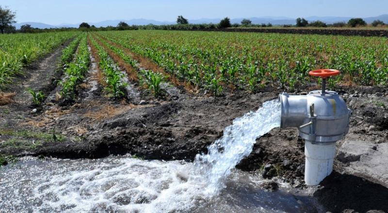 Minagri garantizará el recurso hídrico para la agricultura