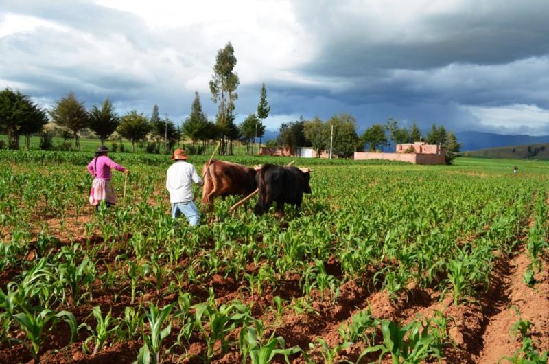 Minagri lanzó metas del sector agrario en el marco de la Agenda de Conmemoración del Bicentenario