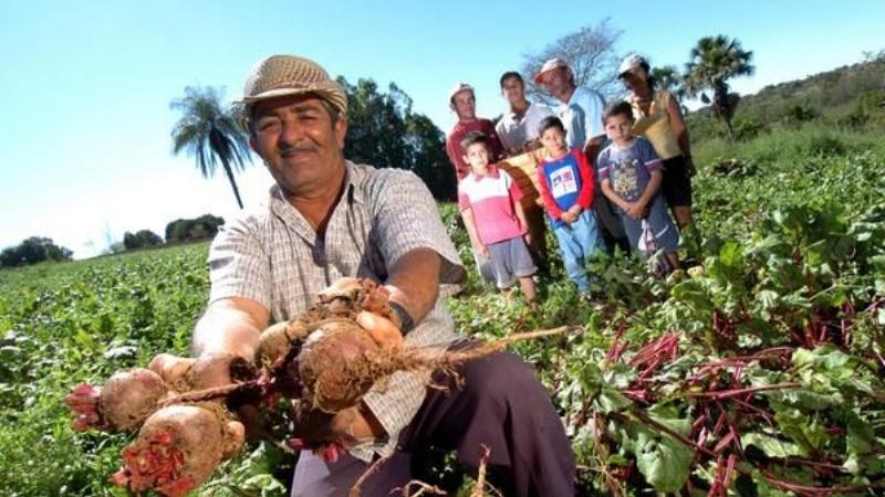 Minagri pre publica reglamento para la certificación orgánica en el país
