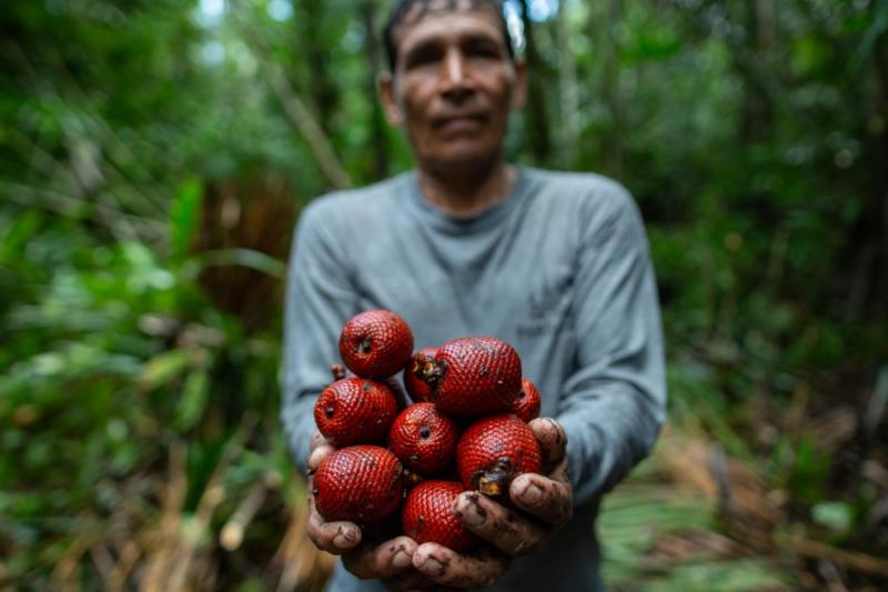 Minam financiará negocios sostenibles en la Amazonía por S/ 78 millones