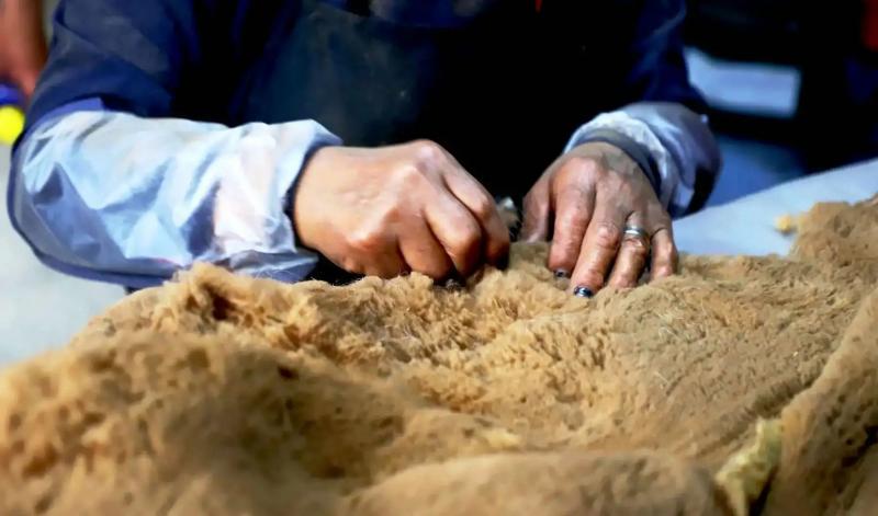 Ministerio de la Producción impulsa iniciativas para consolidar industria alpaquera