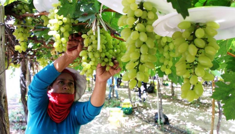Ministro de Agricultura pide a productores de la costa que migren a cultivos que consuman menos agua