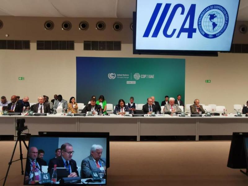 Ministros y altos funcionarios de agricultura de las Américas y junto al IICA muestran el compromiso del sector con la agenda climática global