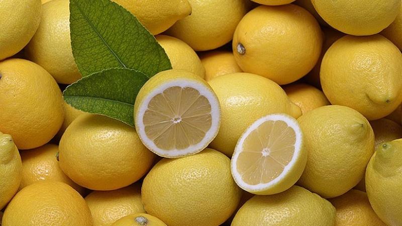 Murcia ratifica una reducción de cosecha de limón Fino entre un 40 y 45%