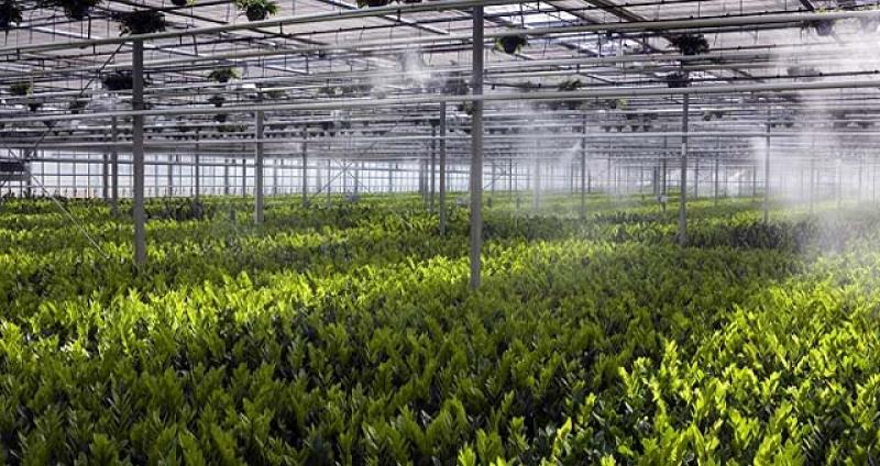 Netafim proyecta crecer con la instalación de sistemas de riego en la selva