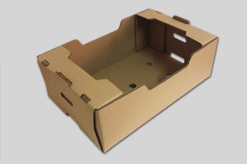 “Nos vamos a enfocar en dar soluciones de cartón para el sector agroexportador”