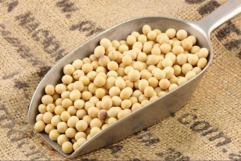Notable incremento en la importación de soya en grano durante el primer bimestre