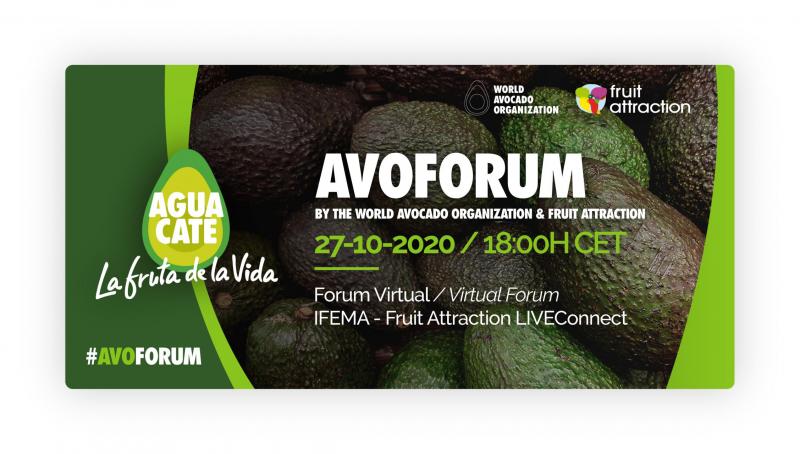 Organización Mundial del Aguacate celebrará el AVOForum en Fruit Attraction