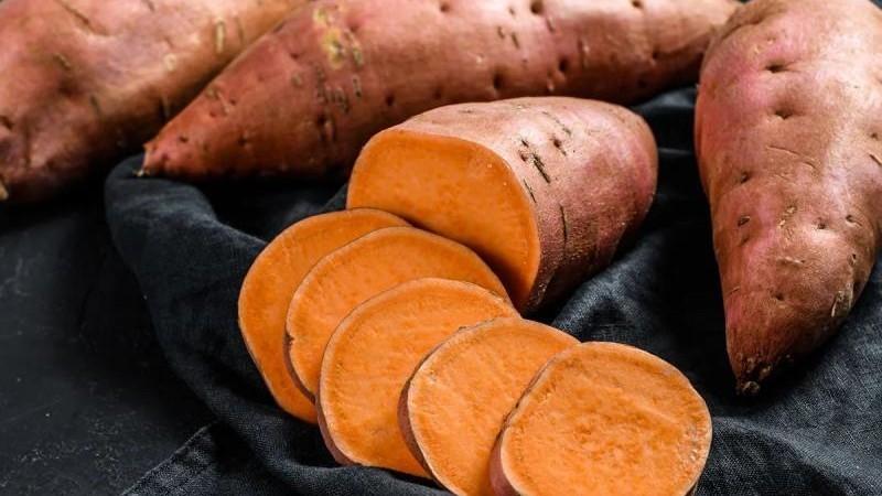 Países Bajos es el principal mercado del camote peruano en 2026