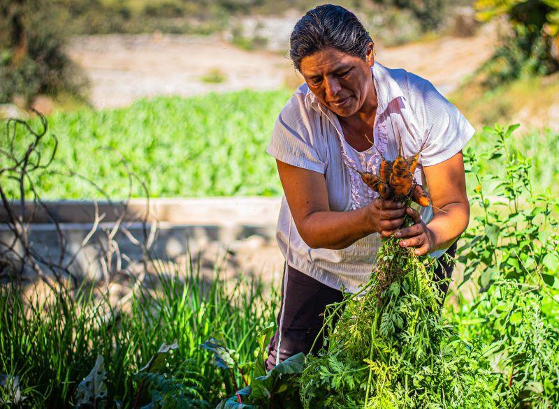 PepsiCo presenta avances en el cumplimiento de su agenda de sostenibilidad en Perú