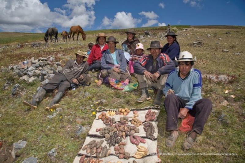 PERSPECTIVAS SON POSITIVAS PARA LA SEGURIDAD ALIMENTARIA EN ALC