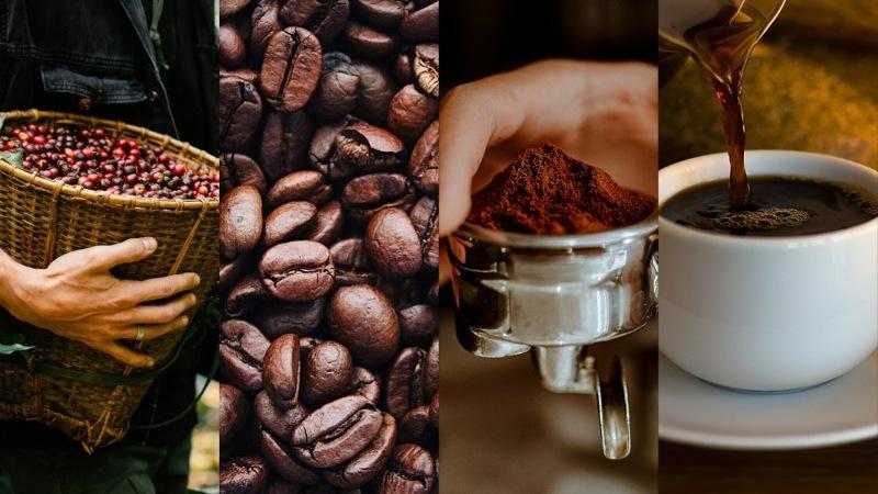 Perú avanza en trazabilidad de cacao y café, pero aún no cierra la cadena completa frente al EUDR