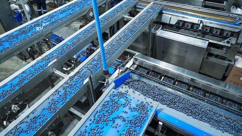 Perú buscará concretar 16 nuevos accesos para sus productos agropecuarios en 2026