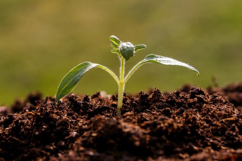 Perú, Canadá, Colombia y El Salvador se suman a programa Suelos Vivos de las Américas