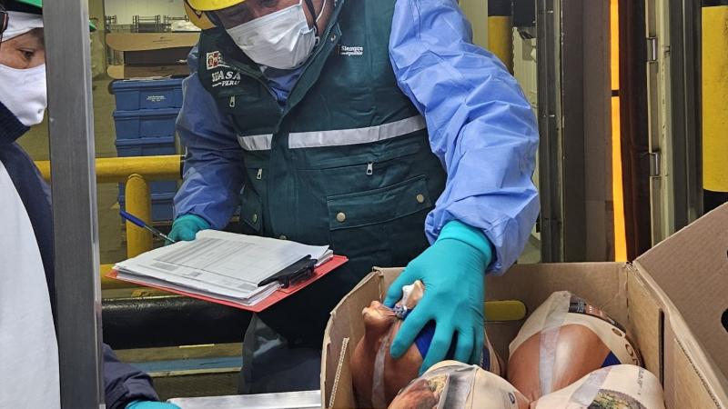 Perú concreta su primer envío de pavo a Panamá