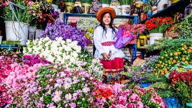 Perú cuenta con más de 4 mil hectáreas de flores y más de 7 mil productores