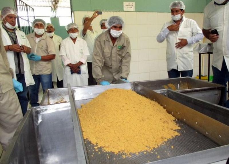 “Perú debe multiplicar por diez su producción de panela para abastecer la demanda en el exterior”