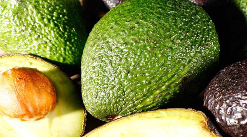 Perú debe posicionar sus agroexportaciones en el marco de la alimentación saludable