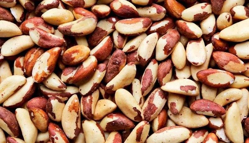 Perú es el segundo exportador mundial de nuez de Brasil, participando con el 12% del total