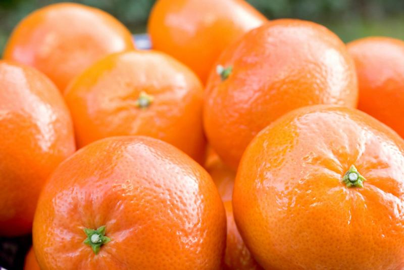 PERÚ ES EL SÉTIMO EXPORTADOR DE MANDARINAS EN EL MUNDO