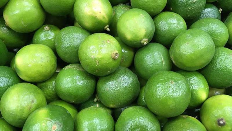 Perú exportó 24.182 toneladas de limón fresco hasta la semana 35