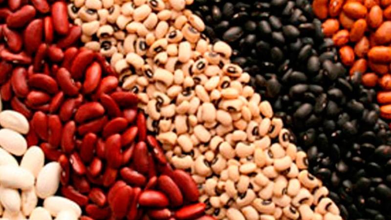 Perú exportó 31.481 toneladas de frijol fresco por US$ 50.350.000 en 2024, mostrando un alza de 8% en volumen y 3% en valor