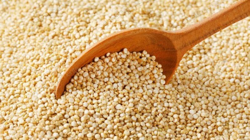 Perú exportó 35.981 toneladas de quinua por US$ 95 millones entre enero y agosto de 2025