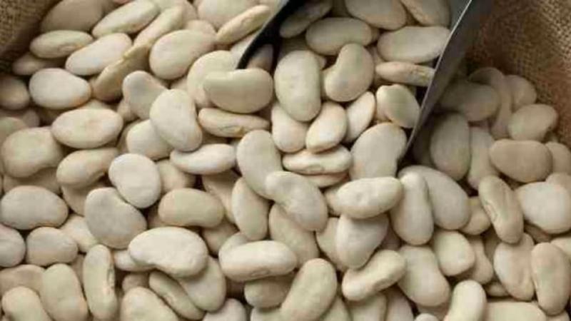 Perú exportó 8.968 toneladas de pallares por US$ 15.1 millones en 2024