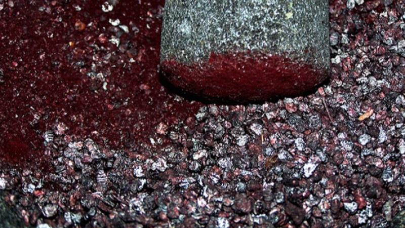 Perú exportó carmín de cochinilla por US$ 48 millones entre enero y abril