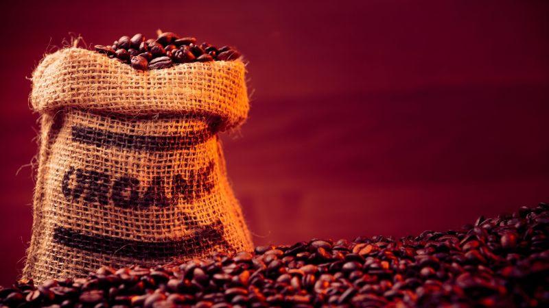 Perú lidera la producción mundial de café orgánico
