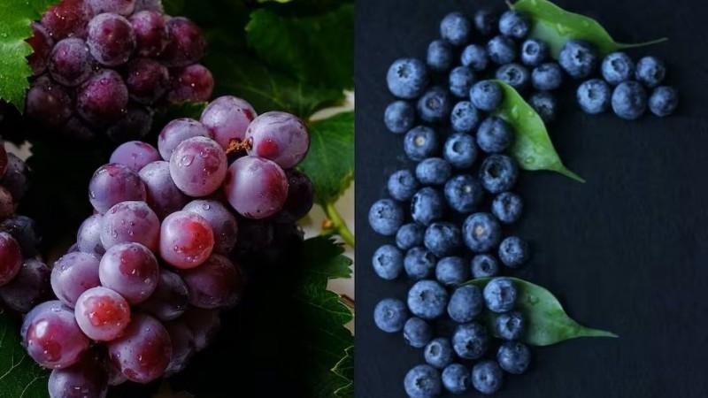 “Perú llegará a concentrar entre el 70 al 80 por ciento del mercado global de arándanos y uvas”