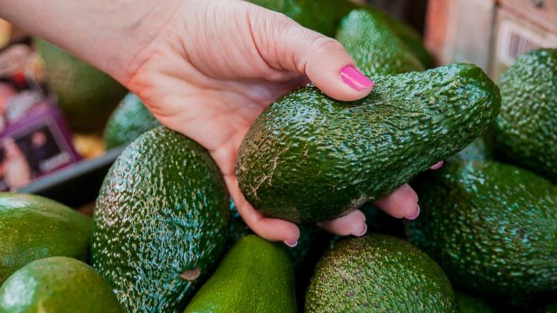 Perú logra el 45% de participación del mercado de palta en la Unión Europea