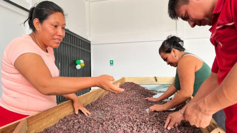 Perú se alista para exportar café y cacao sostenibles bajo reglamento europeo