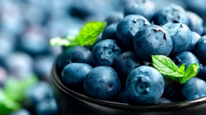 Perú será el principal exportador de arándanos del mundo