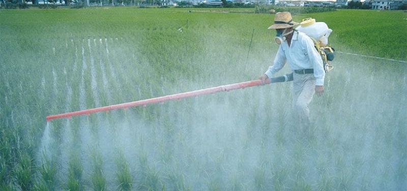 Perú utilizará software para evaluar el riesgo de plaguicidas en agua