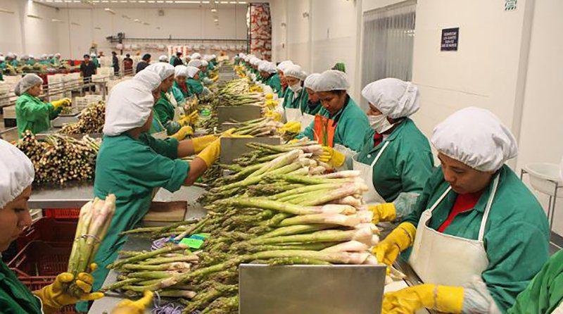 Perú y sus expectativas de contratación frente a la región: ¿habrá más empleo y mejores sueldos?