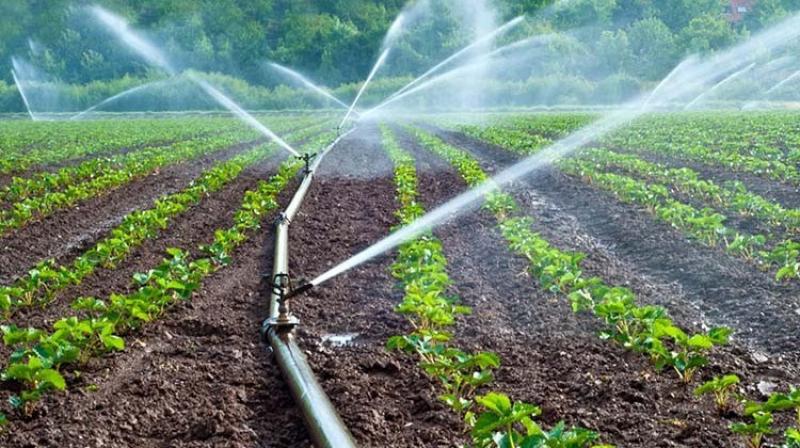 Peruanos lideran participación en América Latina sobre capacitación virtual en temas de riego agroindustrial