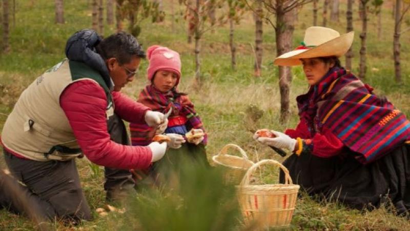 PERUMIN Inspira impulsa nueve Objetivos de Desarrollo Sostenibles de la ONU