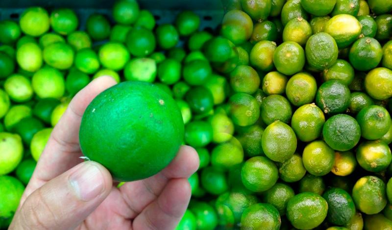 Piura concentró el 76.7% del valor de las exportaciones de limón tahití de Perú en 2025