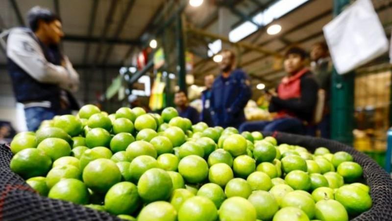 Piura: El Niño pone en riesgo la producción de limón en 2027 por alteraciones en la floración