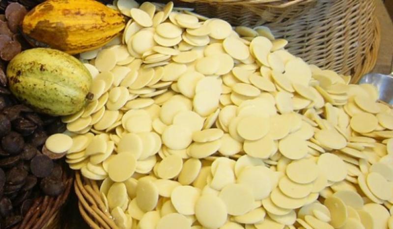 PIURA: PRODUCCIÓN DE CACAO CRIOLLO SE DUPLICARÍA EN DOS AÑOS 