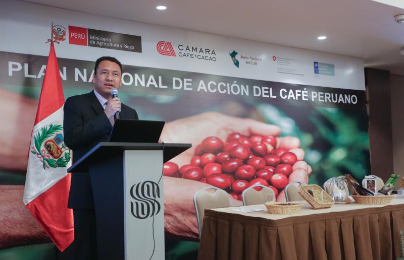 Plan de Renovación de Cafetales permite la recuperación de 40 mil hectáreas a la fecha