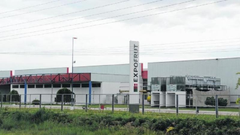 Por la crisis, una importante agroexportadora argentina cesa sus despachos internacionales