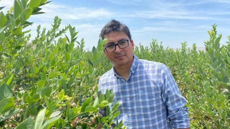 ¿Por qué la productividad bruta por hectárea es una métrica incompleta?