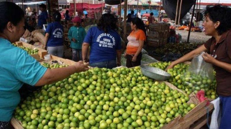 Precio del limón subió hasta S/10 el kilo y en noviembre alcanzaría su mayor costo