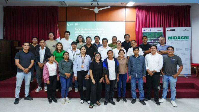 Preparan cadenas de café y cacao para cumplir exigencias europeas contra la deforestación
